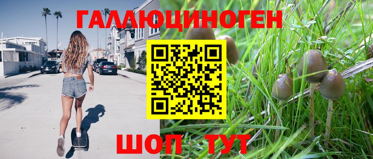 Дедовск  Галлюциногенные грибы прущие грибы  дарнет шоп  Вход с VPN 